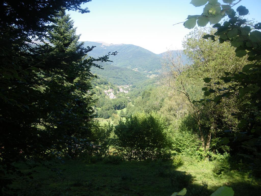 Bed and Breakfast Ferme Du Mouton Noir Lautenbachzell Exterior foto